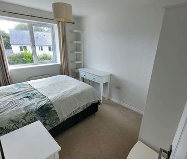 Fantastic 6-bedroom house share in a great location Room 1 (Downsta... - Photo 5