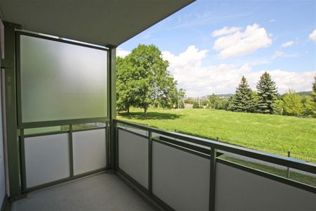 Helle 2-Raum-Wohnung im grünen Birkenpark - Photo 3