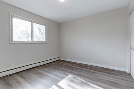 Renovated Suite - 1 Bedroom - Photo 4