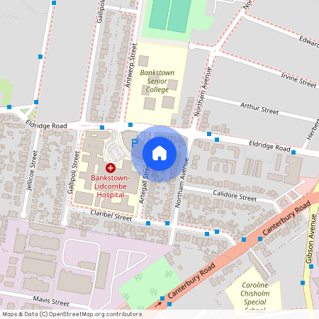 3 Artegall Street, NSW 2200, Bankstown