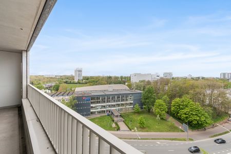 Appartement met 1 slaapkamer en terras te huur in Antwerpen - Photo 5