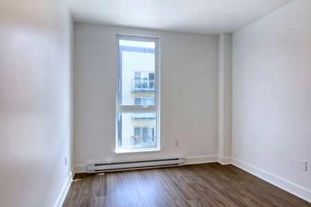 9675 Av. Papineau - Photo 3