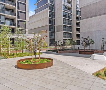 341/39 Owen Crescent, Lyneham ACT 2602 - Apartment For Rent | Domain - Photo 3