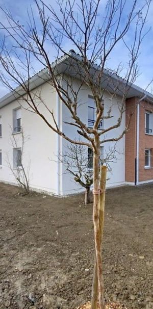 Appartement 3 pièces – 64 m² - Photo 1