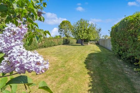 4 bedroom semi-detached house to rent - Photo 2