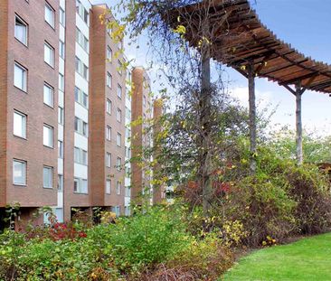 Jungfrugatan 1 B - Photo 3