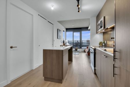 For Lease - 10 JAMES Street Unit# 809/LPH9, Ottawa Centre, Ontario - Photo 3