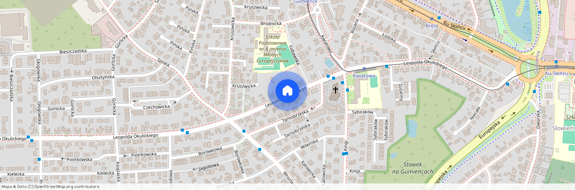 ul. Leopolda Okulickiego, Szczecin