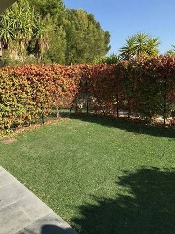 Location Appartement - Photo 4