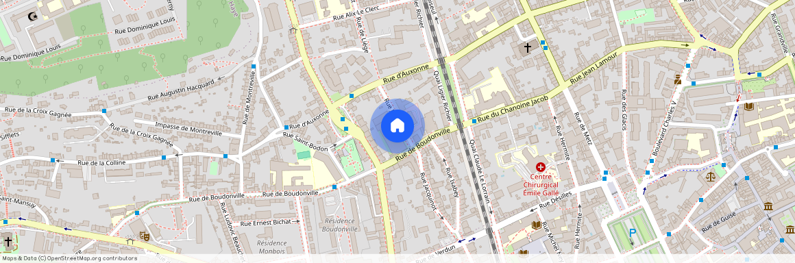 15 RUE JACQUINOT, Albert Ier Verdun Isabey, Nancy