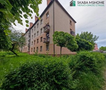 Mieszkanie śląskie Siemianowice Śląskie powierzchnia 47.5 m² C169-W... - Zdjęcie 4