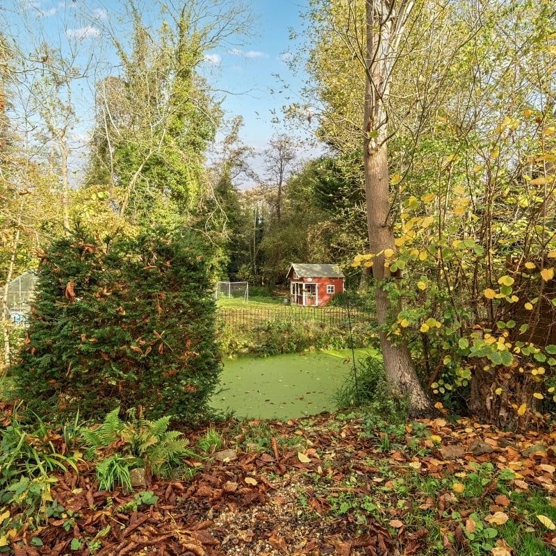 1 bedroom mews to rent - Photo 1