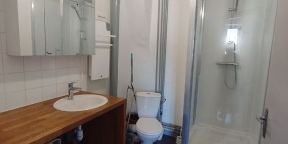 Appartement 3 pièces à Lille - Photo 3