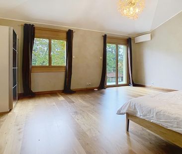 Master house with annex - Photo 6