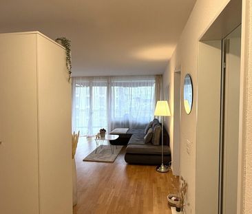 21/2-ROOM APARTMENT IN EMMEN (LU), FURNISHED, TEMPORARY - Foto 1