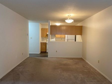 MAYFAIR VILLAGE WEST 1BD/1BA - Photo 5