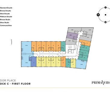 Gold Studio - Photo 5