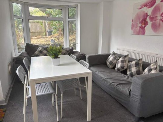 Double Room for Students & Professionals, Brynmill Avenue. - Photo 1