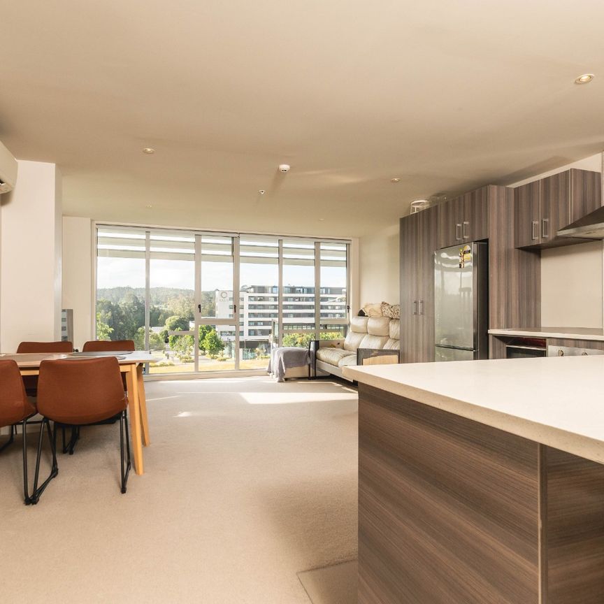 Spacious 2 Bedroom Corner Apartment in Rose Garden - Photo 1