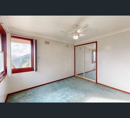 19 Tahlee Avenue, Woodberry, NSW 2322 - Photo 3