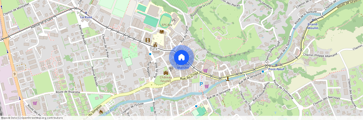 1880, Bex, Rue Centrale, 18