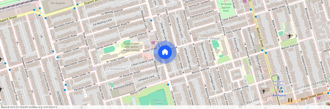 171 Christie Street Unit# BSMT, Toronto