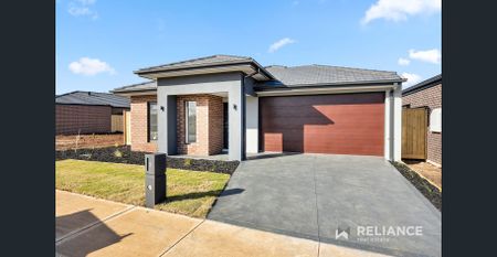 Brand New Family Home! - Photo 2
