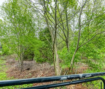 For Lease - 1 Johnswood Crescent Unit# Bsmt, Vaughan, Ontario - Photo 5