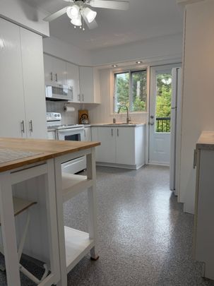 10245 Rue D'Iberville, H2B 2T7, H2B 2T7, Montréal - Photo 1