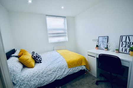 2 bedroom house share to rent - Photo 4