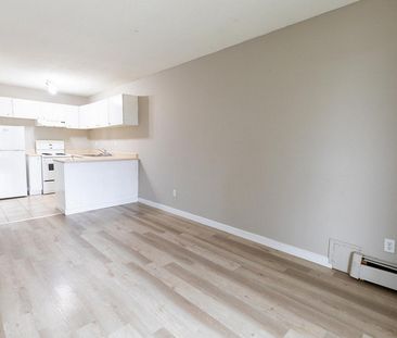 Anna Court Apartments - Photo 5