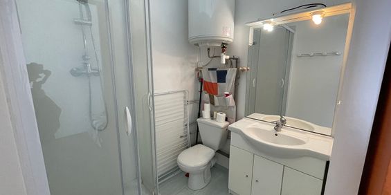 Location Appartement 1 pièce 18m² - Photo 3