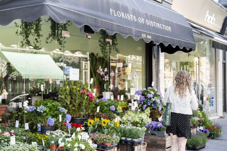 Studio Flat, Dennington Park Road, NW6 - Photo 2
