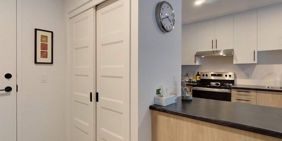 TOUT INCLUS TRES GRAND 3.5 - Photo 3