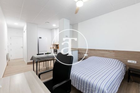 Monthly rental Studio with 1 bedroom, 1 bathroom in Latina - Photo 5