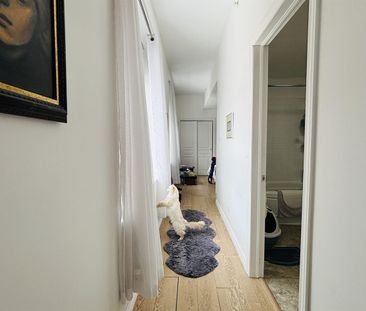 Arsenal Appartement 3 ½ à Louer Lévis Juillet 2026 - Photo 3