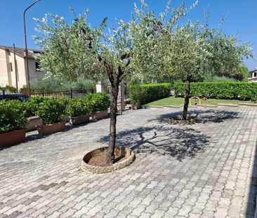 Bilocale con Giardino - Photo 5
