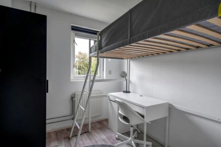 Chambre Molecatensingel, Rotterdam - À louer - Foto 2