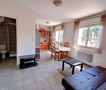 Appartement meublé Bollene 2 pièce(s) 30 m2, - Photo 2