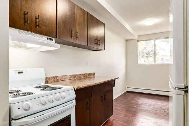 2 Bedroom - Photo 1
