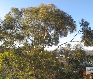 Perfectly Located Sunny Central Unit - Photo 5