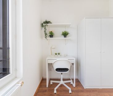 Lille - Hoover - Chambre 2 - Photo 2