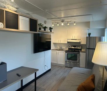 Fully Furnished Studio Close to Downtown — 0 Bedrooms Condo Unit - Photo 1