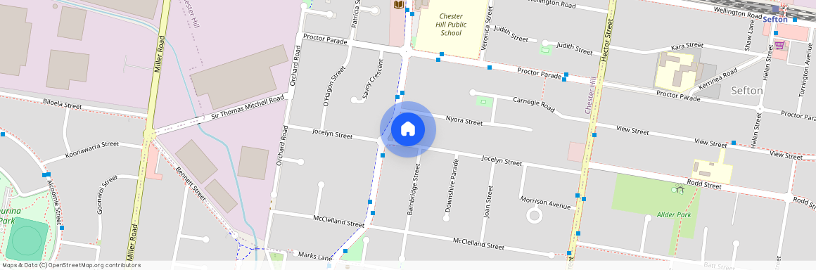 60A Jocelyn Street, Chester Hill 2162, New South Wales