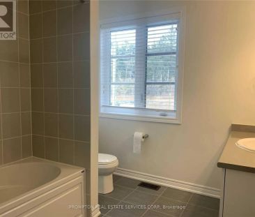 33 CALAMINT LANE - Photo 6