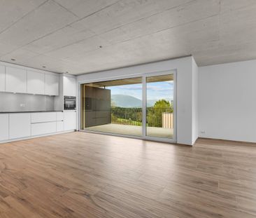 First-time rental: Large areas, living with plenty of space - Photo 1