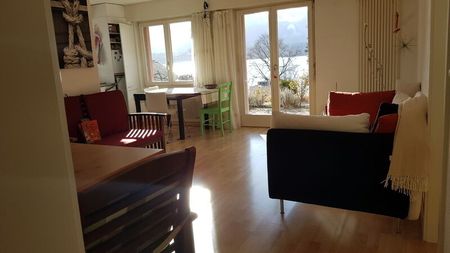 2-ROOM APARTMENT IN HILTERFINGEN (BE), FURNISHED, TEMPORARY - Photo 4