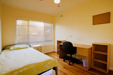 NCH2 Medium - Photo 3