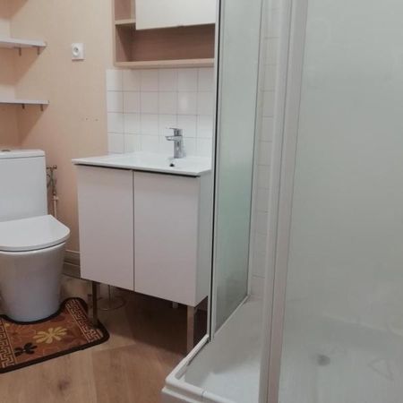 Location Appartement 1 pièce 16m² LE MANS 72000 - Photo 4
