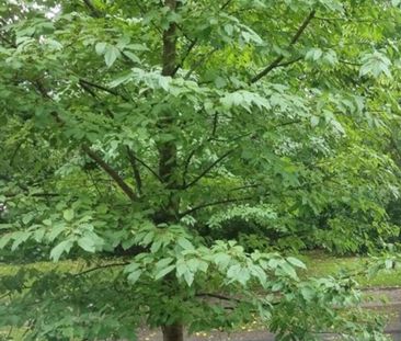 DG Wohnung Stadtparkviertel (Anfang 2026 VHS) - Foto 1